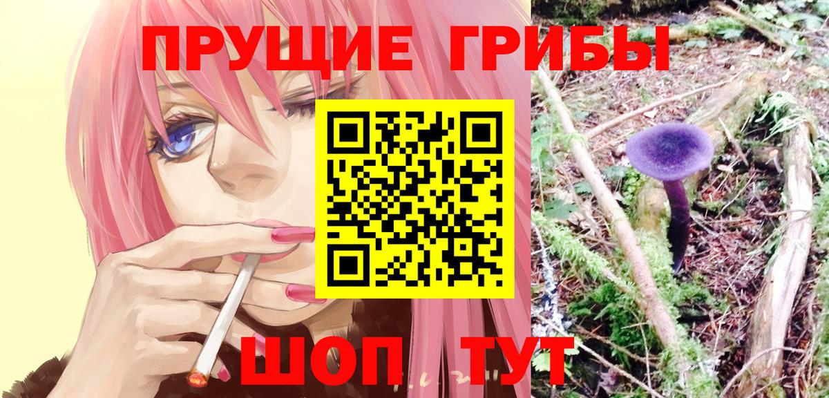 Псилоцибиновые грибы мухоморы Кувандык