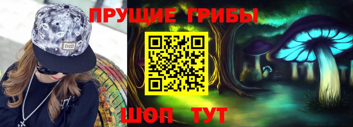 Галлюциногенные грибы Cubensis  Вход с VPN  Кувандык  Галлюциногенные грибы MAGIC MUSHROOMS 